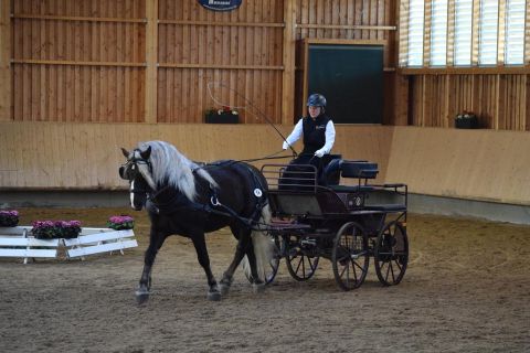 Rodewald gefahren (Foto. Steinbach)