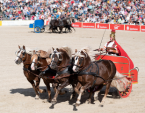 Römerwagen mit Schwarzwäldern bei der Hengstparade