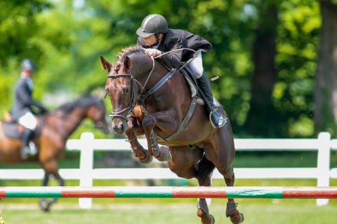 Potter über dem sprung (Foto: CV)