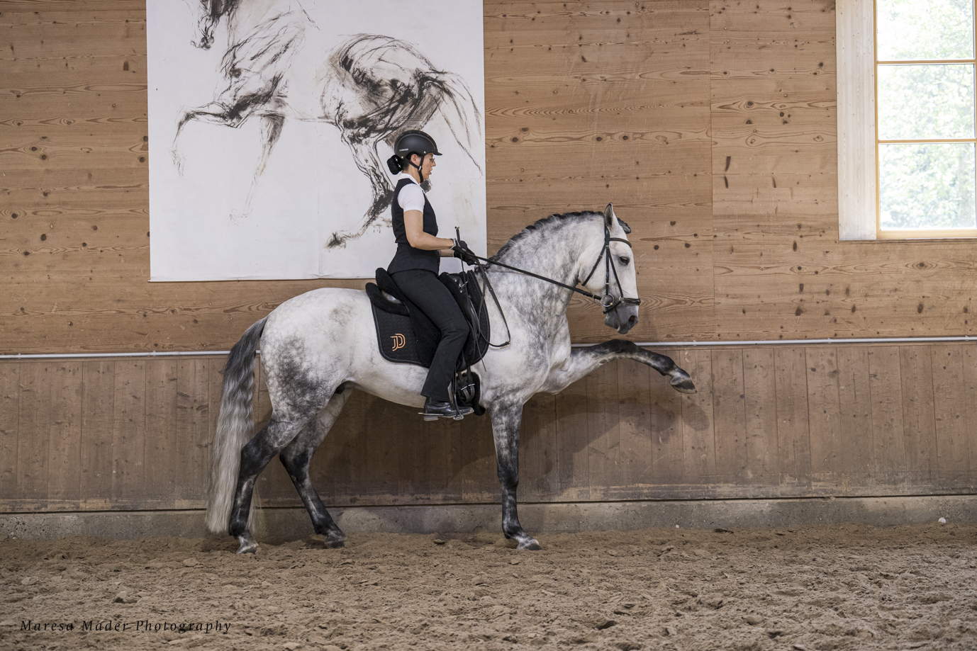 Fachsemniar mit Anja Beran am 18.01.2026 in Marbach -Foto Maresa Mader.jpg