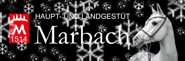 Frohe Weihnachten und ein gutes Jahr 2017!