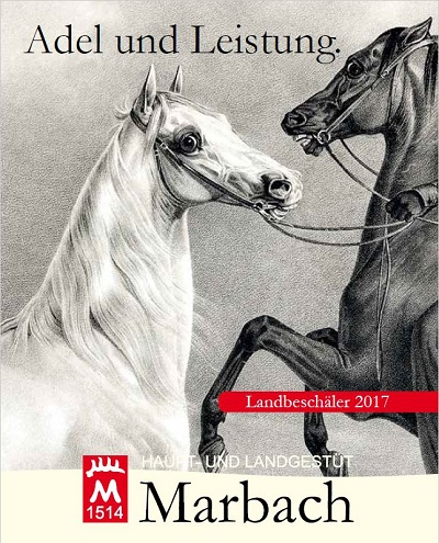 Marbacher Landbeschäler 2017 Adel und Leistung