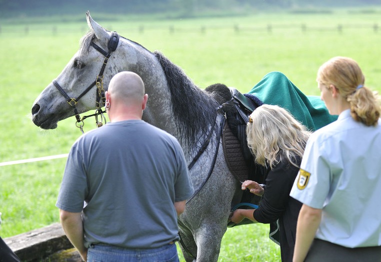 Asil Club Marbach Distanz 2010 (Foto: Stephan Kube)