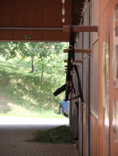 Landesfahrschule Marbach (Foto: Claudia Gille)
