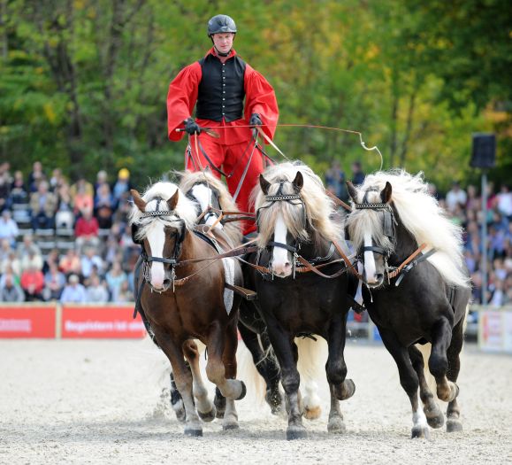 HP 2017 Ungarische Post