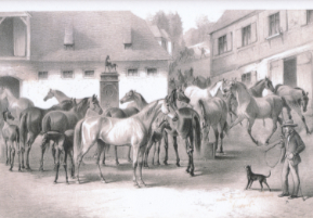 Historisches Bild der Stuten am Stutenbrunnen