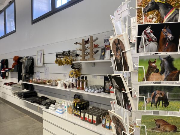 Auszug Warenangebot Gestütsshop Gestütslinsen, Lebensmittel, Wollerzeugnisse