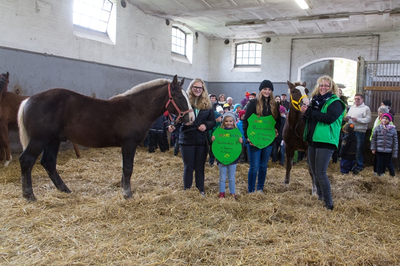 Fohlentaufe des Kinderclub Julmond 2015
