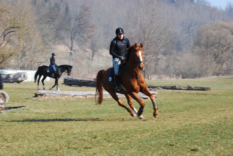 Landesreitschule Marbach (Foto: Archiv Marbach)