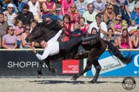 Kosak (Oliver Seitz).jpg