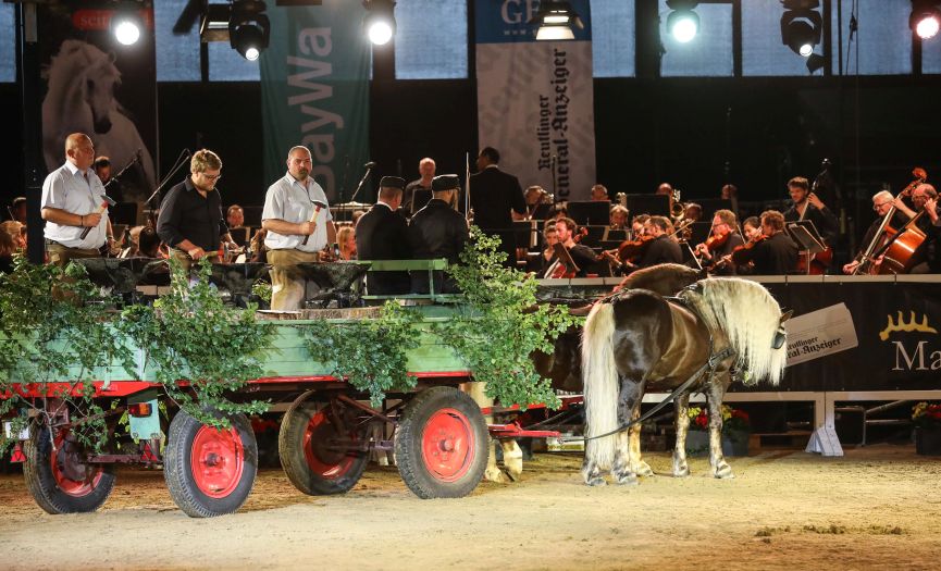 Marbach Classics 2019 (Foto: Warnack)