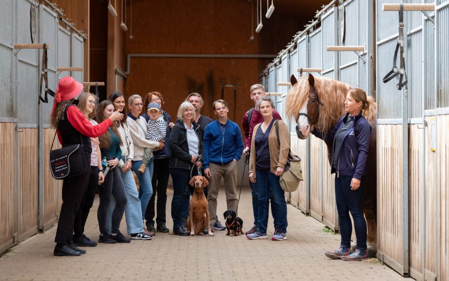 Alternativtext zum Bild