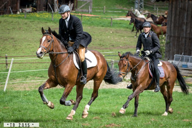 Landesreitschule Marbach (Foto: Thore Brockhoff)