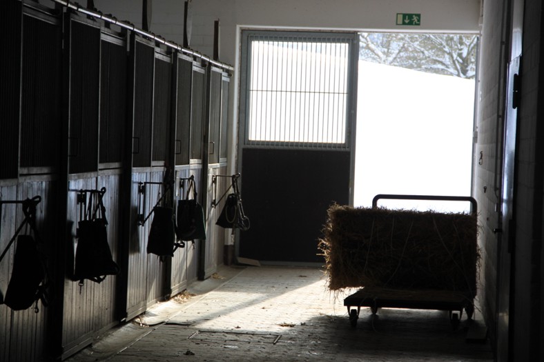 Landesreitschule Marbach Stallungen