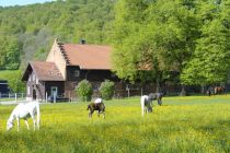 _DSM0007Marb Jubil 5 14PhMSchreiner.jpg