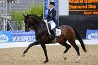 Diamond Star Lingen 2013 LL-Foto.jpg