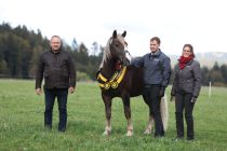 Sankt-M&auml;rgen_2023_Kaltblut-K&ouml;rung_KN_01_Findus (6) Foto Doris Matthaes.JPG