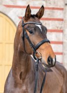 Zappa_L1012152_Stephan Kube.jpg