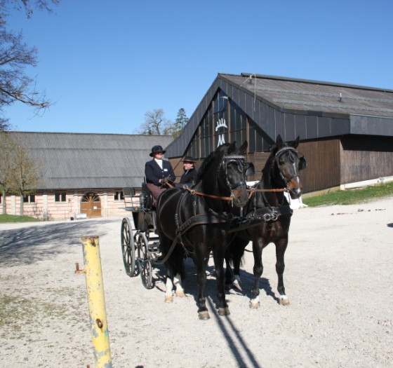 Landesfahrschule Marbach (Foto: Tasja Fischer)