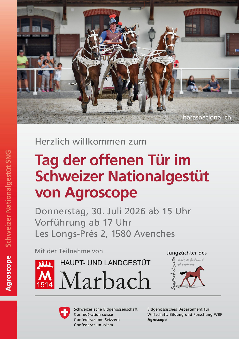 Alternativtext zum Bild