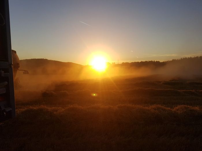 Landwirtschaft 2019 (Foto: Archiv Marbach)