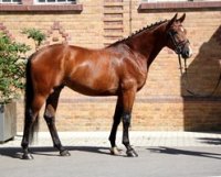 Lemercier Stand2 - Gi.JPG