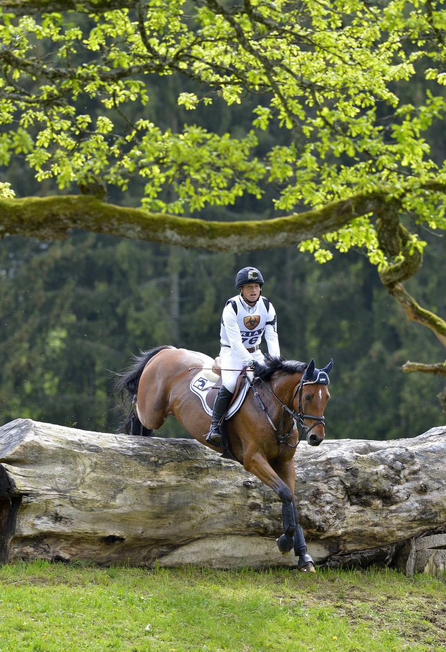 Alternativtext zum Bild