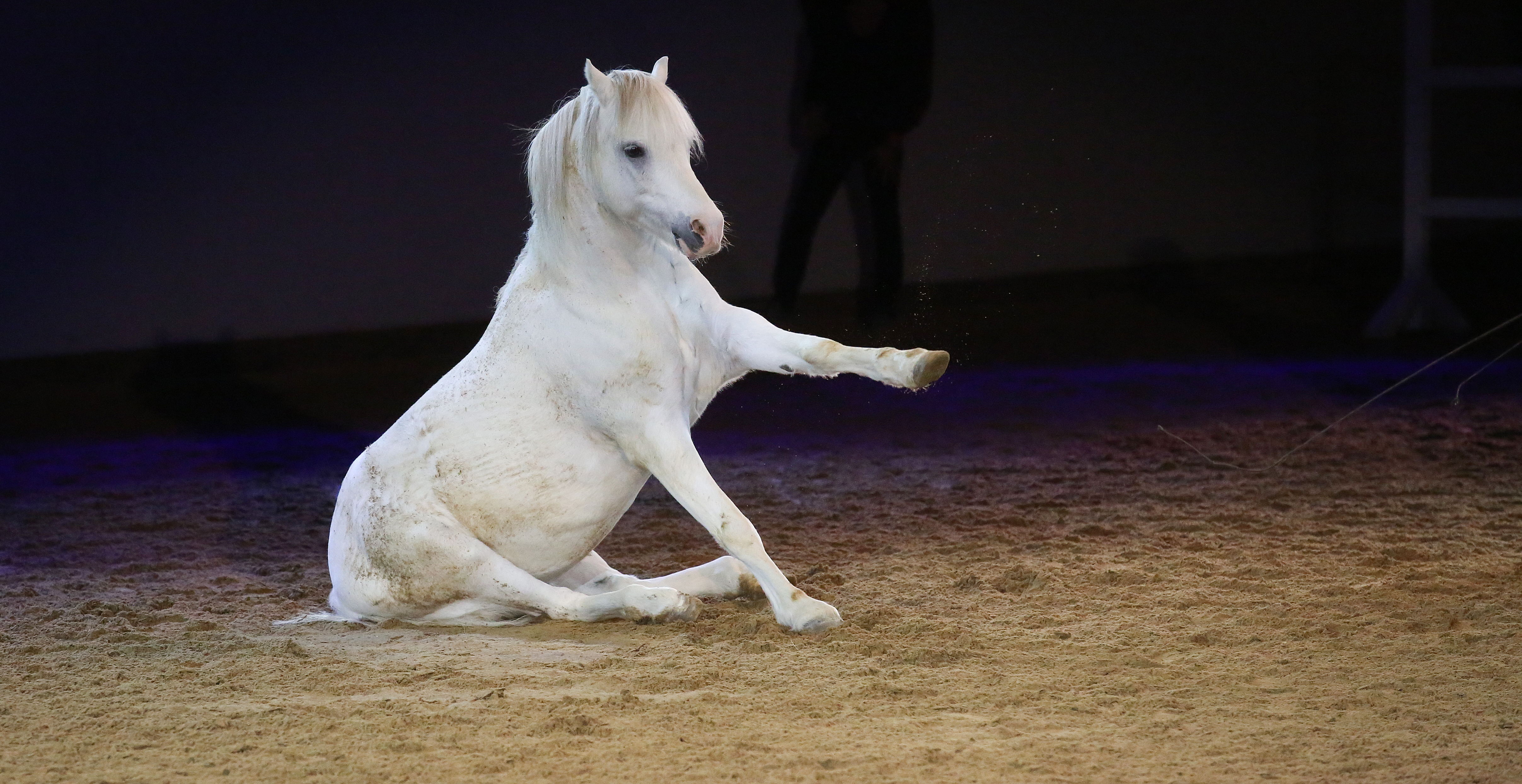 Marbach Classics 2018 (Foto: Warnack)