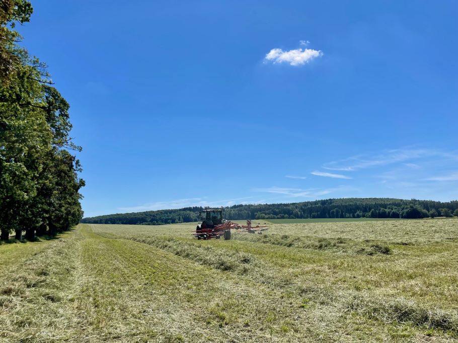 Alternativtext zum Bild