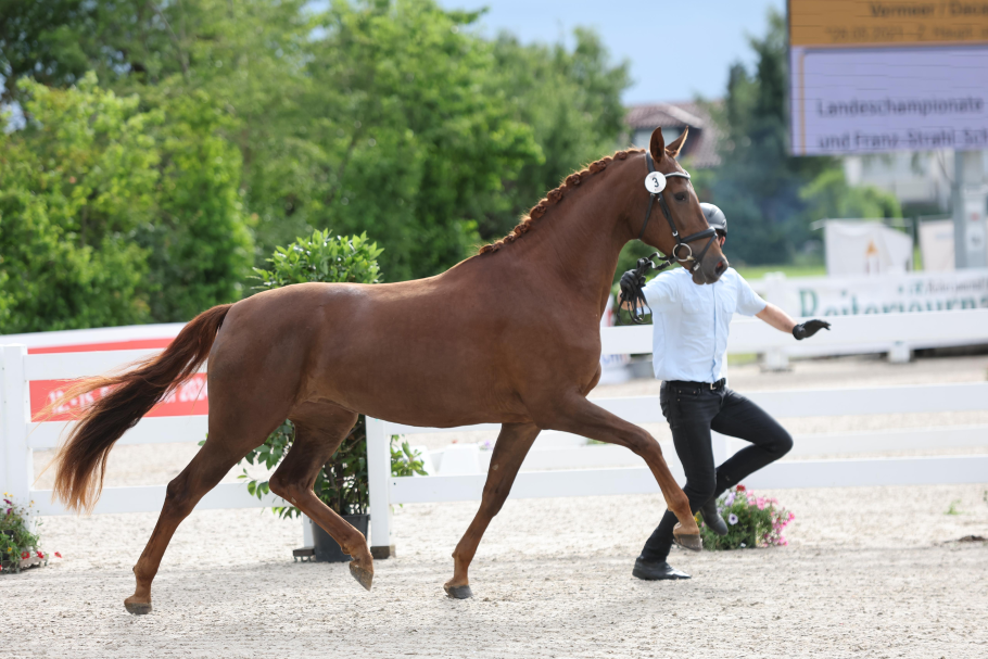 Alternativtext zum Bild