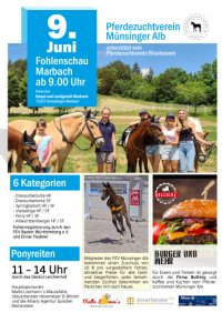 2024_Plakat PZV M&uuml;nsinger Alb Fohlenschau.jpg