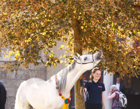 Azubi mit Araber vorm Stutenbrunnen