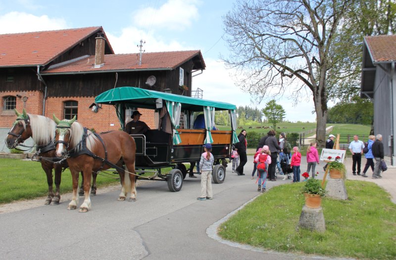 Festwochenende 500 Jahre Marbach Foto Silke Busse