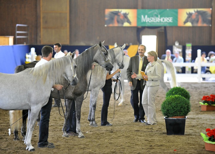 Bairactar Memorial Schau 2010 (Foto: Stephan Kube)
