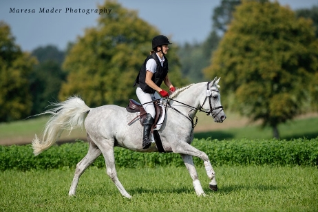 Araber galoppiert geritten &uuml;ber die Wiese