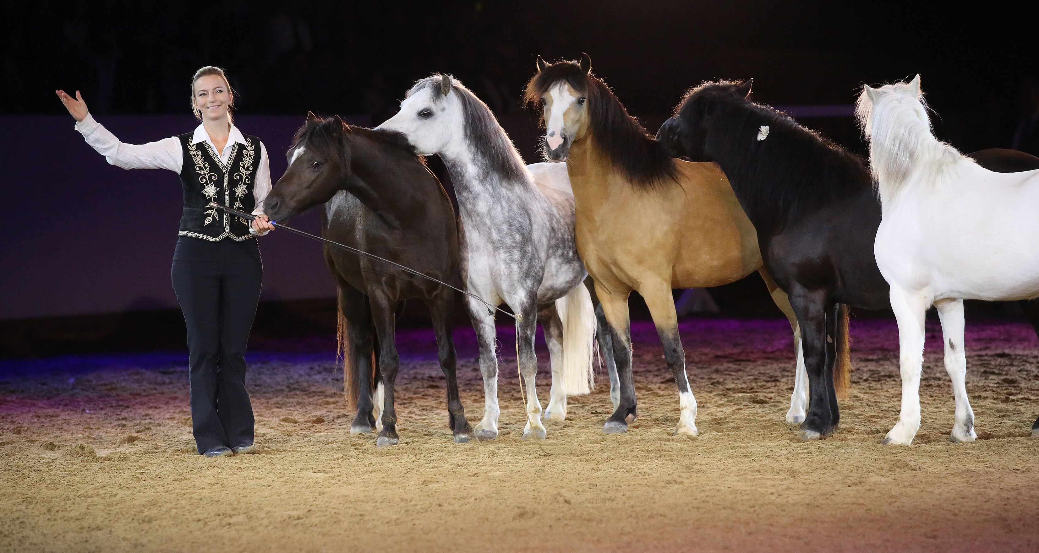 Marbach Classics 2018 (Foto: Warnack)