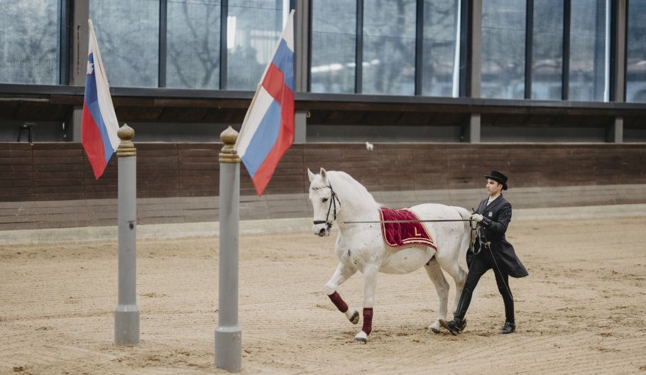 Alternativtext zum Bild