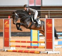 Comme Cavelle HLP Sporttest 2024 - Hubert Fischer.jpg