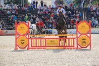 Jump and Drive - Scholz.jpg1.jpg