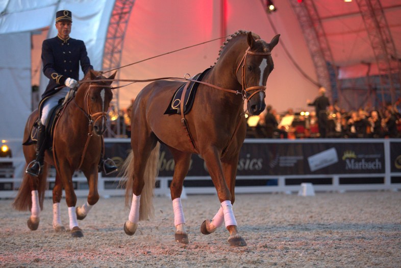 Marbach Classics 2014 Foto Oliver Seitz