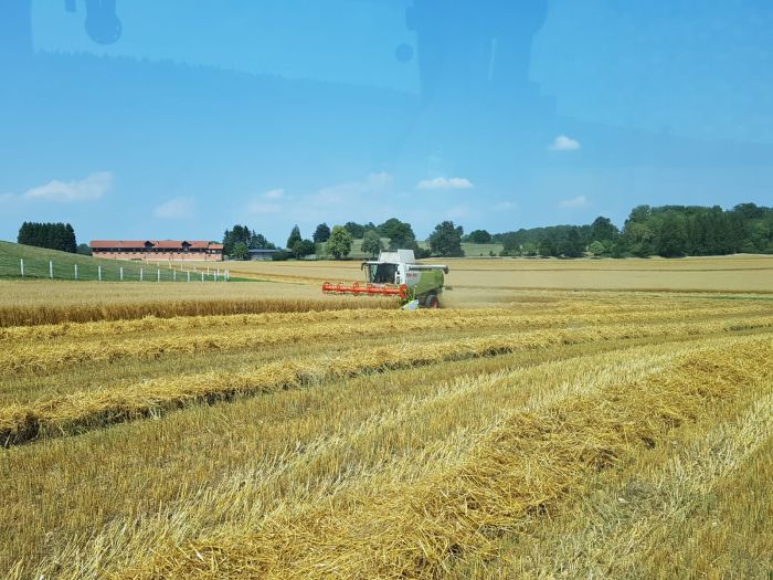 Landwirtschaft 2019 (Foto: Archiv Marbach)
