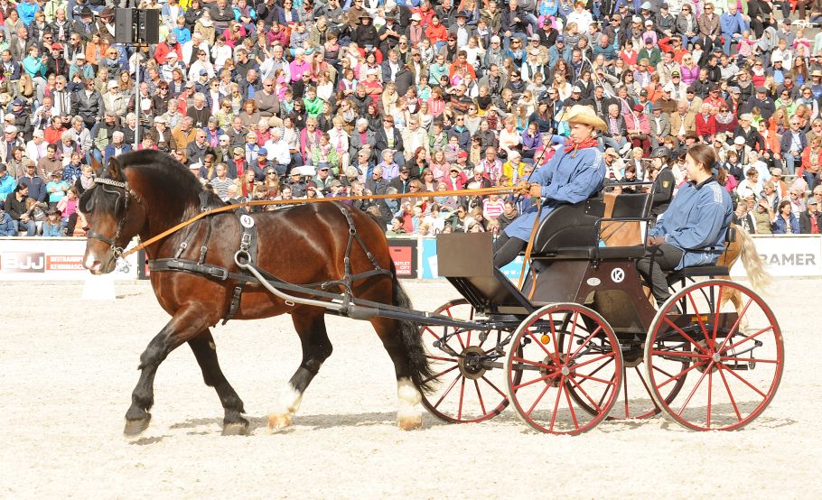 Alternativtext zum Bild