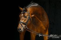 Benedikt AB-BOIS-MARBACH-2020_A7Y7502.JPG