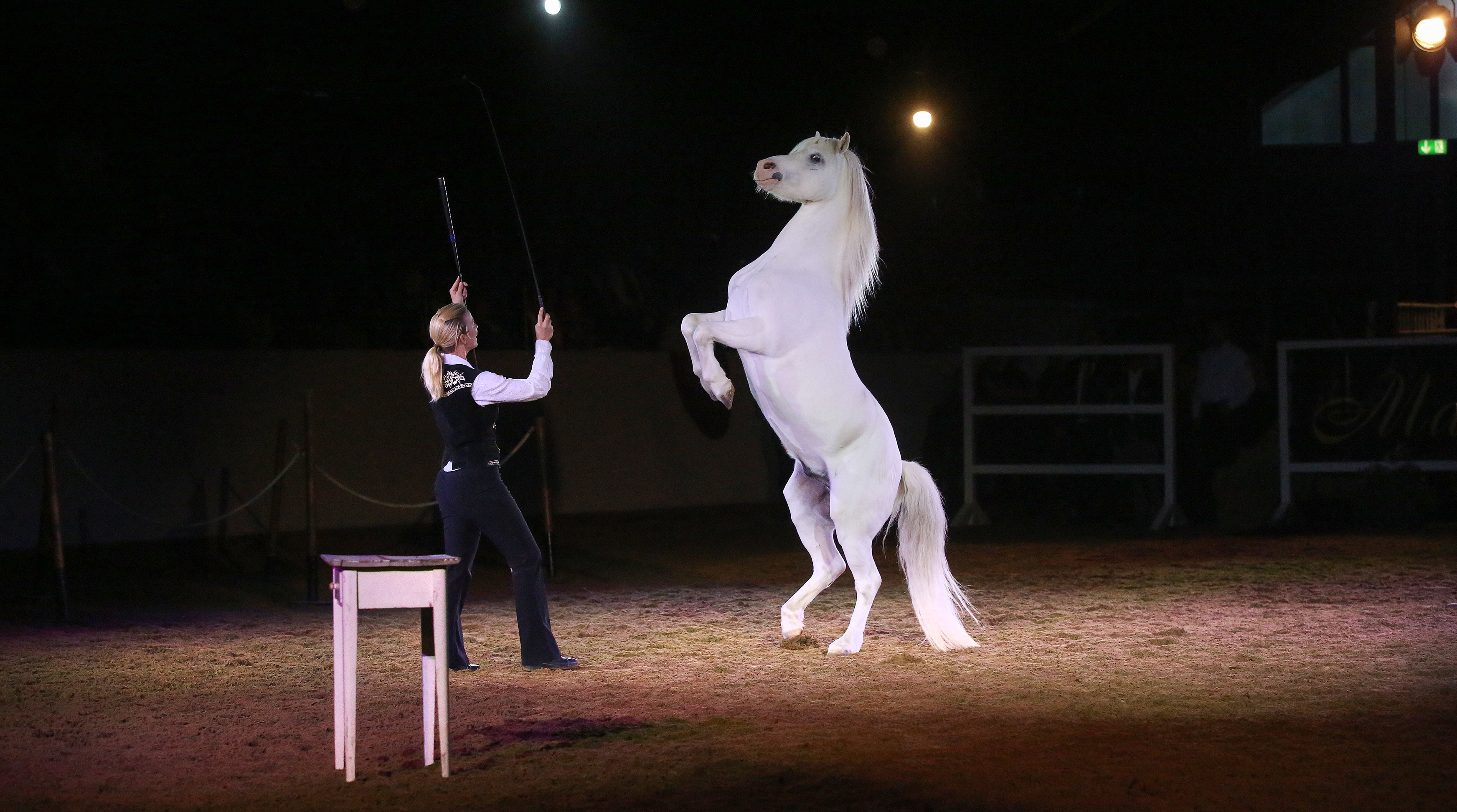Marbach Classics 2018 (Foto: Warnack)