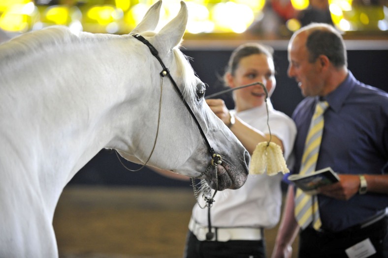 Bairactar Memorial Schau 2010 (Foto: Stephan Kube)