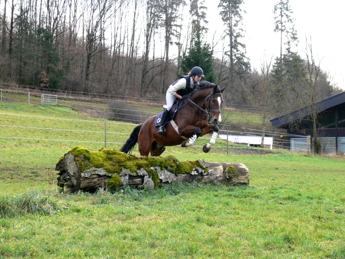 Landesreitschule Marbach (Foto: Archiv Marbach)