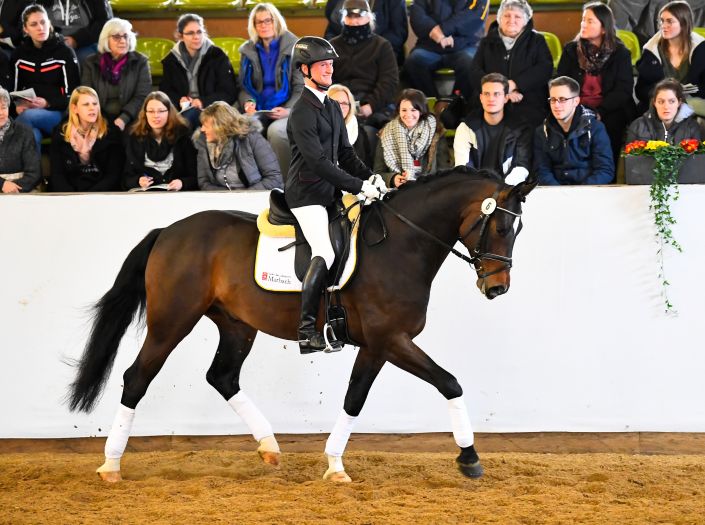 Marbacher Gestütsauktion 2019 (Foto: Max Schreiner)