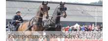 Fred probst mit einem Gespann in der Marbacher Arena