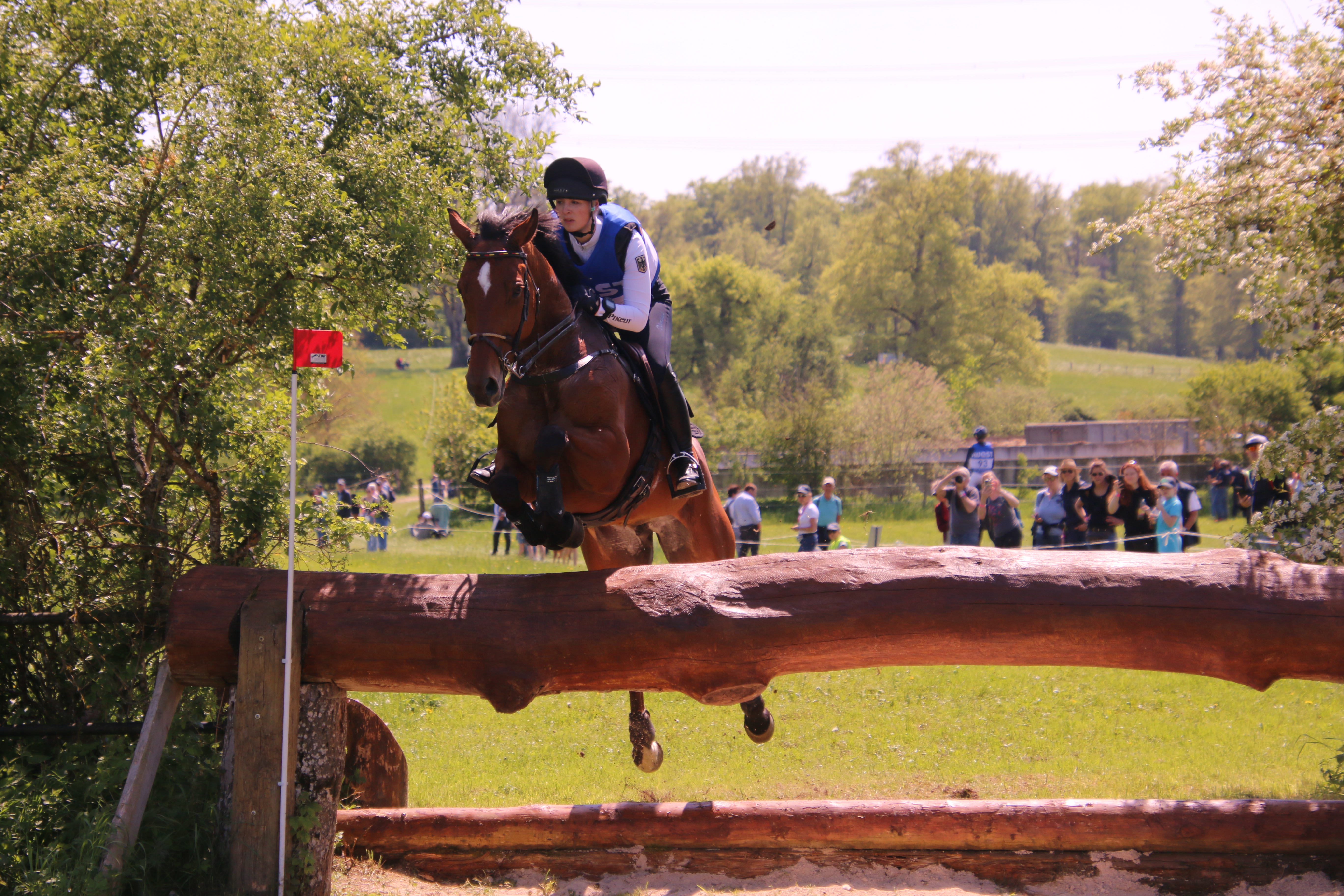 Alternativtext zum Bild