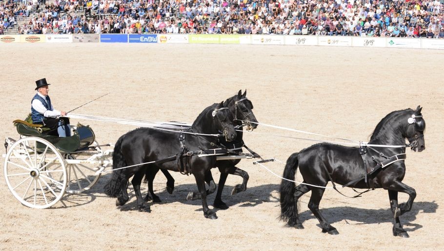 Alternativtext zum Bild